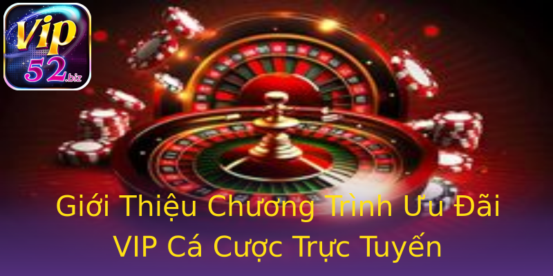 Giới Thiệu Chương Trình Ưu Đãi VIP Cá Cược Trực Tuyến Giới Thiệu Chương Trình Ưu Đãi VIP Cá Cược Trực Tuyến